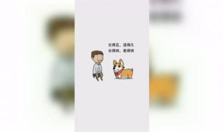 长得帅活得久歌曲